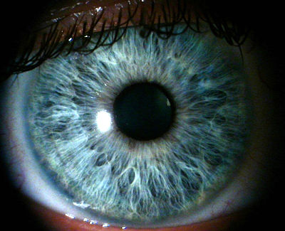 Health : Yes, You Are Gay; Eyes Don’t Lie!