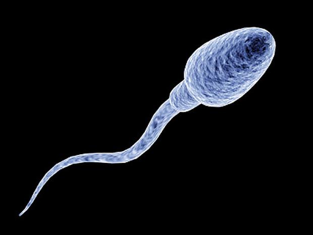Health: Keep That Sperm Count Up