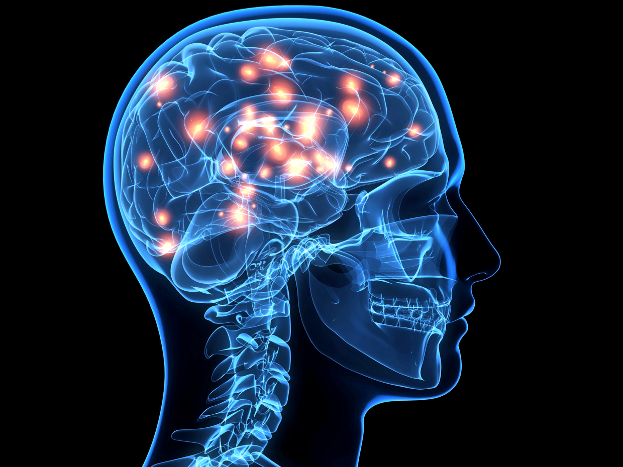 brain porn