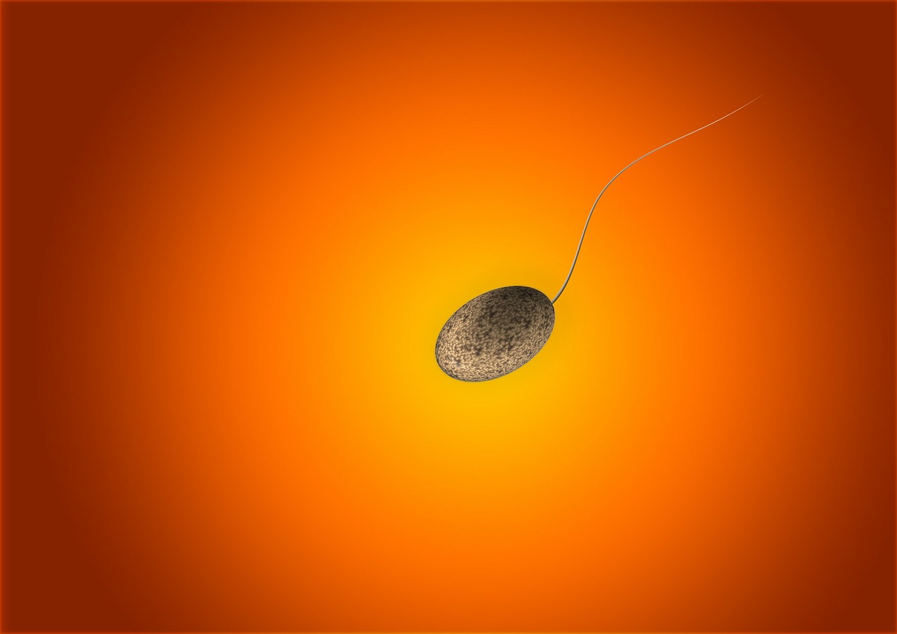 Sexuality : Premature Ejaculation