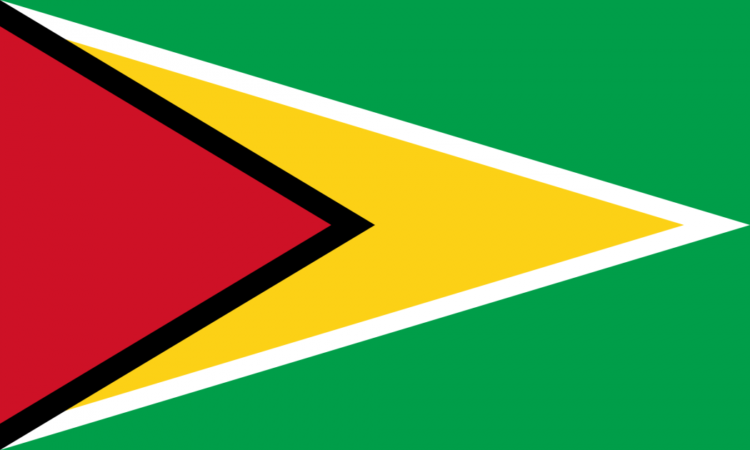 Flag_of_Guyana.svg